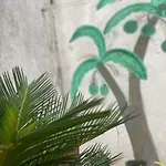 Apolonia Apartman *