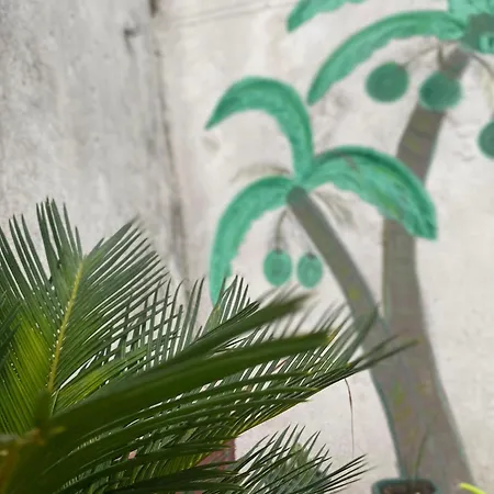 Apolonia Apartmán *